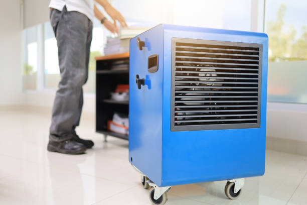 Best Industrial Mold Remediation  in Americus, GA