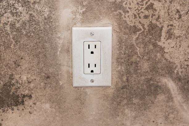 Best Real Estate Mold Inspection  in Americus, GA